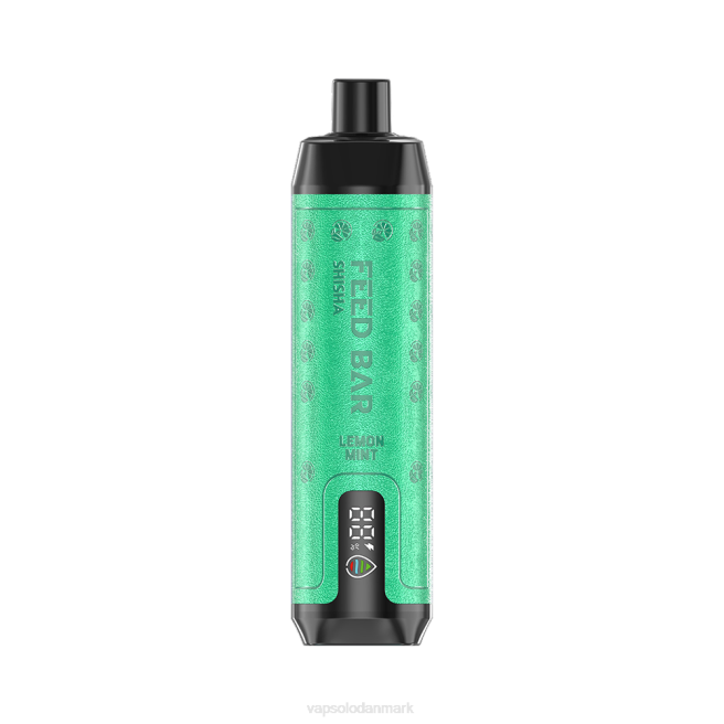 VapSolo SHISHA engangs vape | Vapsolo Pris NTP87 citronmynte