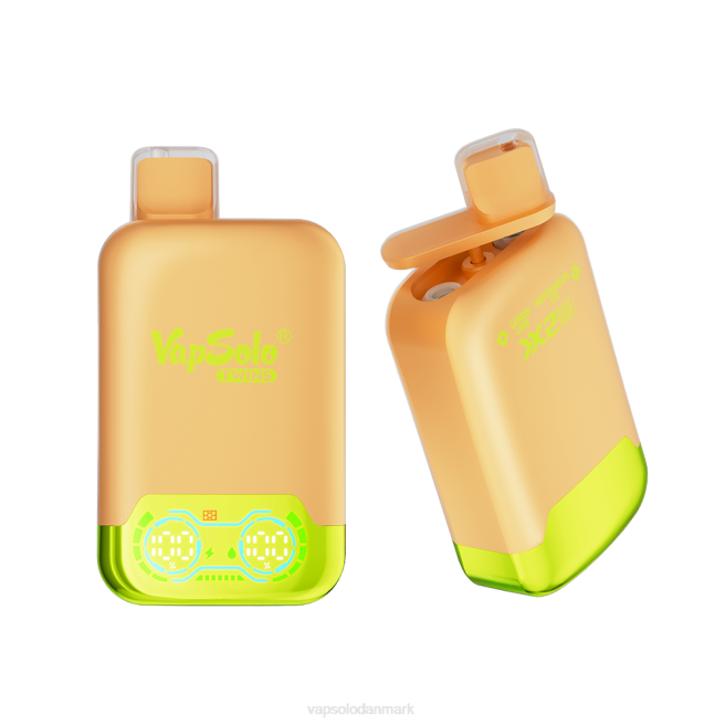 VapSolo TWINS engangs vape | Vapsolo Puff NTP829 citron lime & vandmelon is